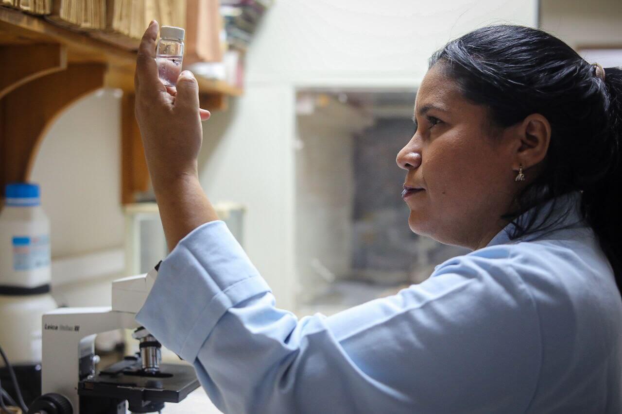 Lee más sobre el artículo Oncti: Más de 12 mil venezolanas participan en actividades de investigación y desarrollo