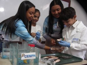 Lee más sobre el artículo Estudiantes de Cumaná disfrutaron de la Ruta Científica Marina