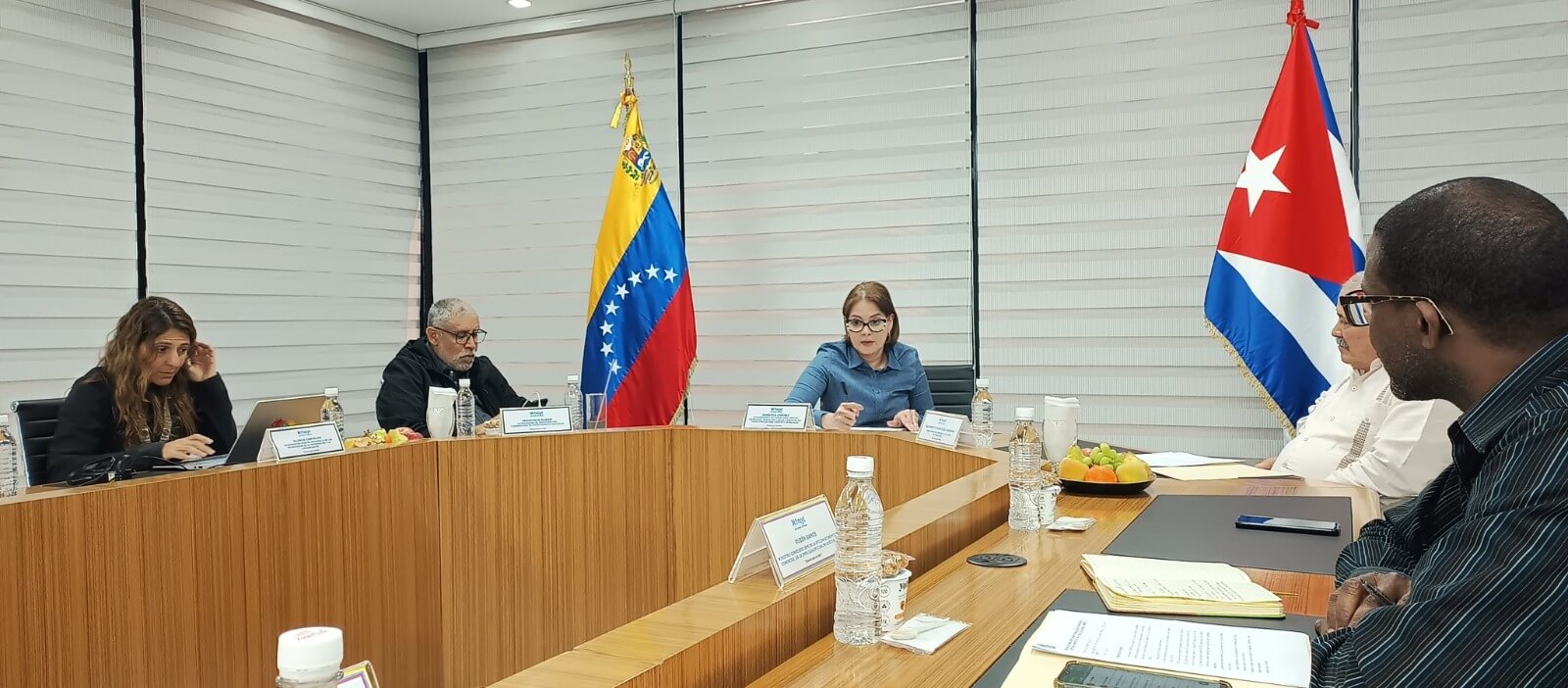 Lee más sobre el artículo Venezuela y Cuba revisan agenda de trabajo en materia científica, tecnológica y de innovación