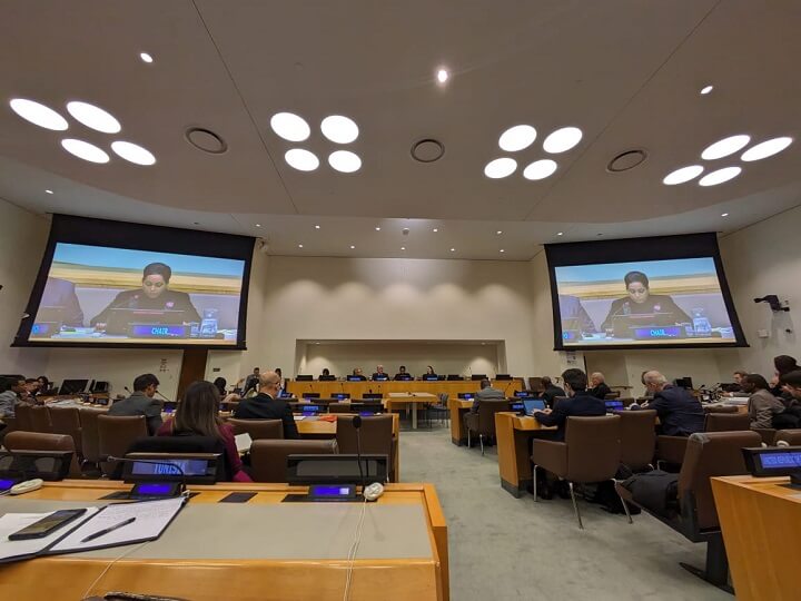 Lee más sobre el artículo Comité Especial de la ONU elige a Caracas como sede del Seminario Regional del Caribe