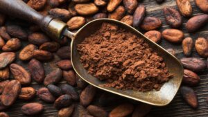 Lee más sobre el artículo Celebrarán XIV aniversario de la Escuela de Chocolatería de la Alba en Aragua