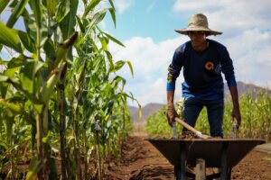 Lee más sobre el artículo Alianza Científico – Campesina promueve modelo alternativo sostenible con soberanía e independencia