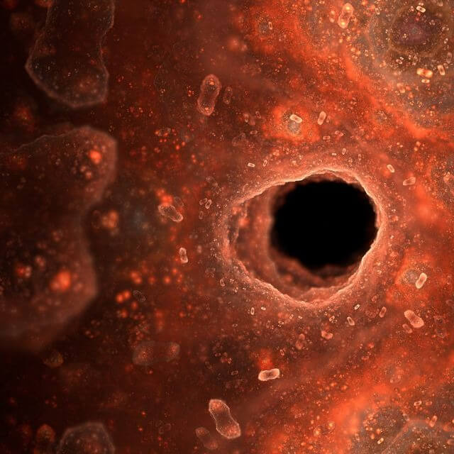 Lee más sobre el artículo Obelisco: una nueva forma de vida presente en humanos