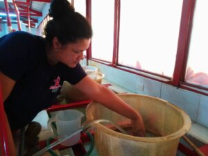 Lee más sobre el artículo CENIPA y ACAV fortalecen lazos para el desarrollo sostenible de la pesca y acuicultura en Venezuela