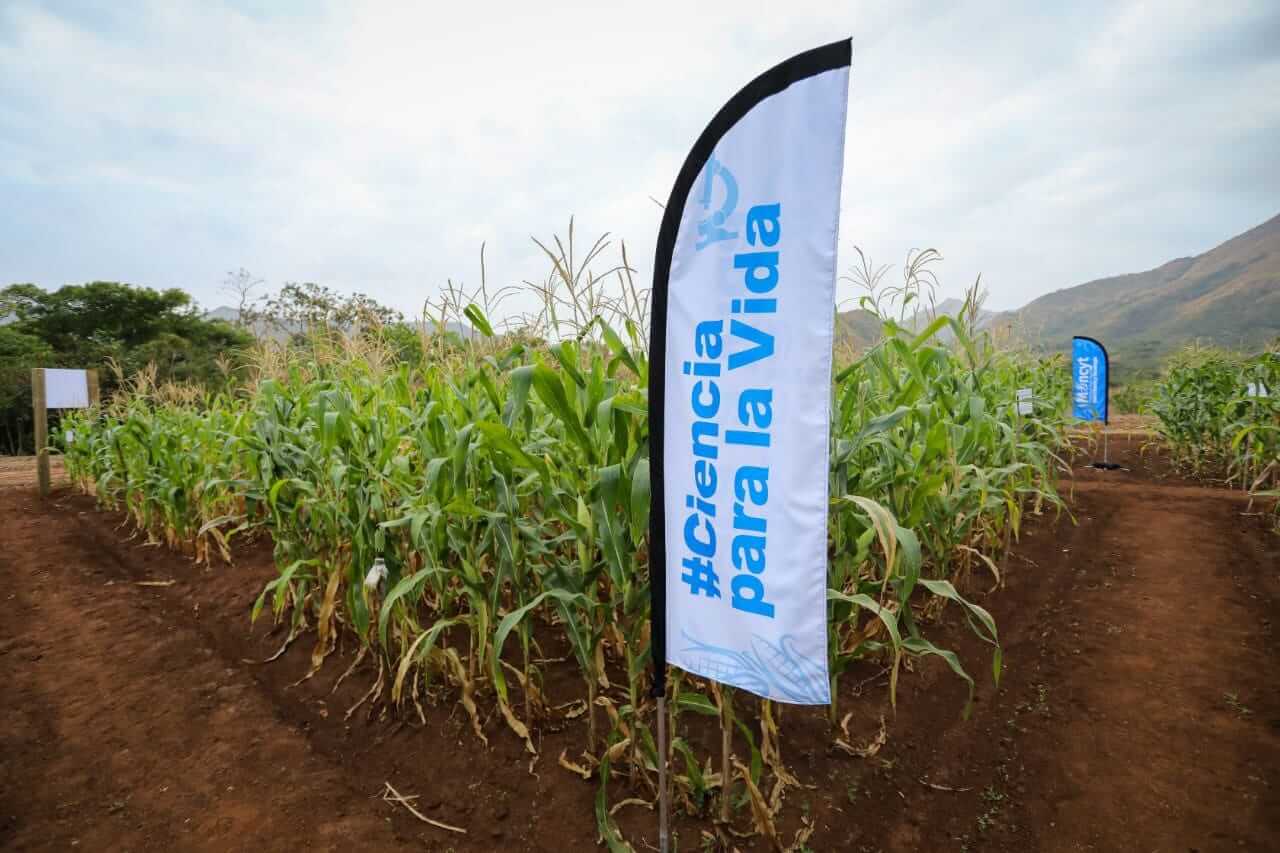 Lee más sobre el artículo Venezuela avanza en materia de investigación e innovación científica para el desarrollo agrícola y productivo
