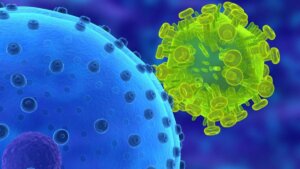 Lee más sobre el artículo Investigación revela que los humanos son más transmisores que receptores de virus