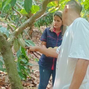 Lee más sobre el artículo ACAV continúa abordaje para el diagnóstico fitosanitario en plantaciones de Cacao en Barinas