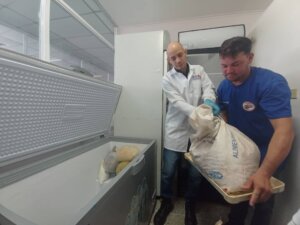 Lee más sobre el artículo Fundación INZIT formula alimentos para peces de cultivo con residuos de camarones