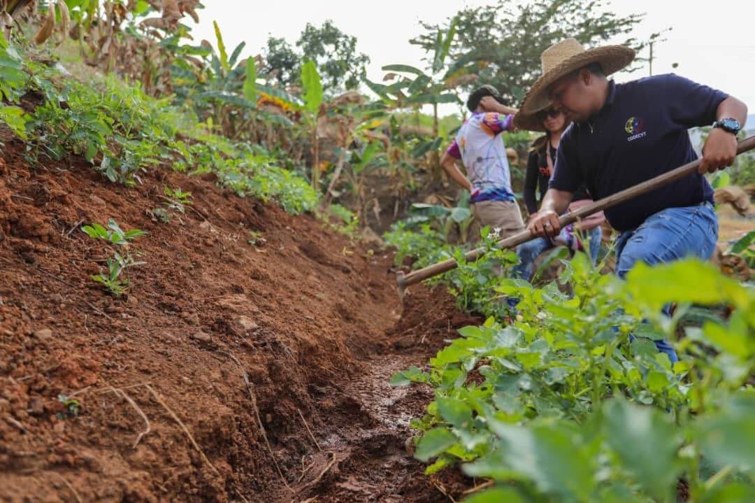 Lee más sobre el artículo Taller ciencia para una agricultura sana y soberana se realizará en la UCV