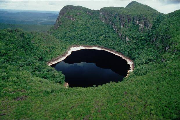Lee más sobre el artículo Bosques tropicales de extraordinaria belleza abarcan cerca del 50% del territorio venezolano