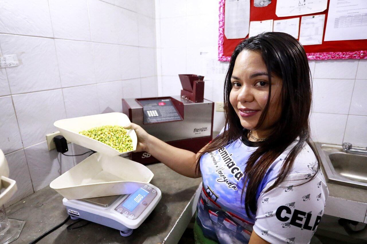 En este momento estás viendo Avanza tratamiento de semilla de maíz con productos biotecnológicos en Aragua