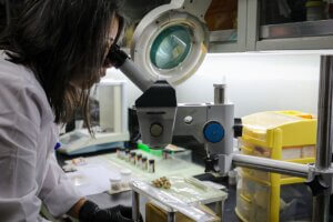 Lee más sobre el artículo Ciencia y Tecnología: pilares fundamentales de la soberanía y el bienestar de Venezuela