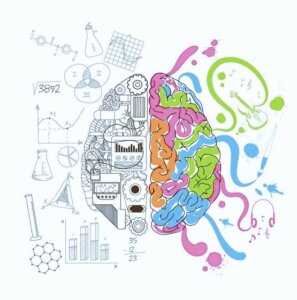 Lee más sobre el artículo Neuroeducación y psicología cognitiva para un aprendizaje efectivo