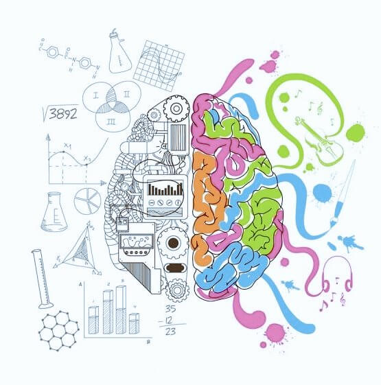 En este momento estás viendo Neuroeducación y psicología cognitiva para un aprendizaje efectivo