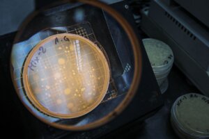 Lee más sobre el artículo La Bioética: pilar fundamental en el avance científico de Venezuela