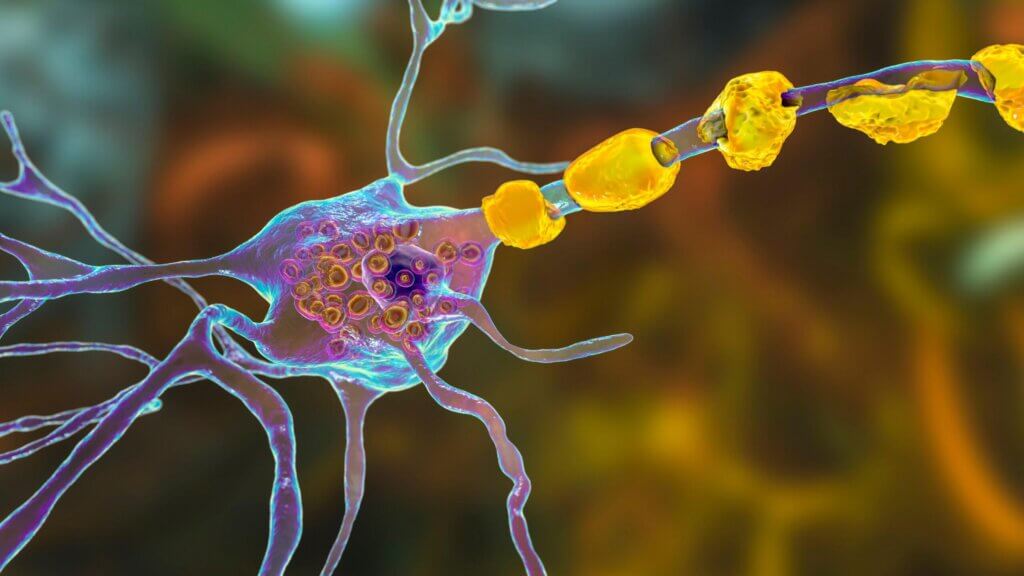 Abren inscripciones para el diplomado «Errores Innatos del Metabolismo»