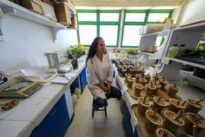 Lee más sobre el artículo Diversificación Alimentaria en Venezuela: un enfoque en especies subutilizadas