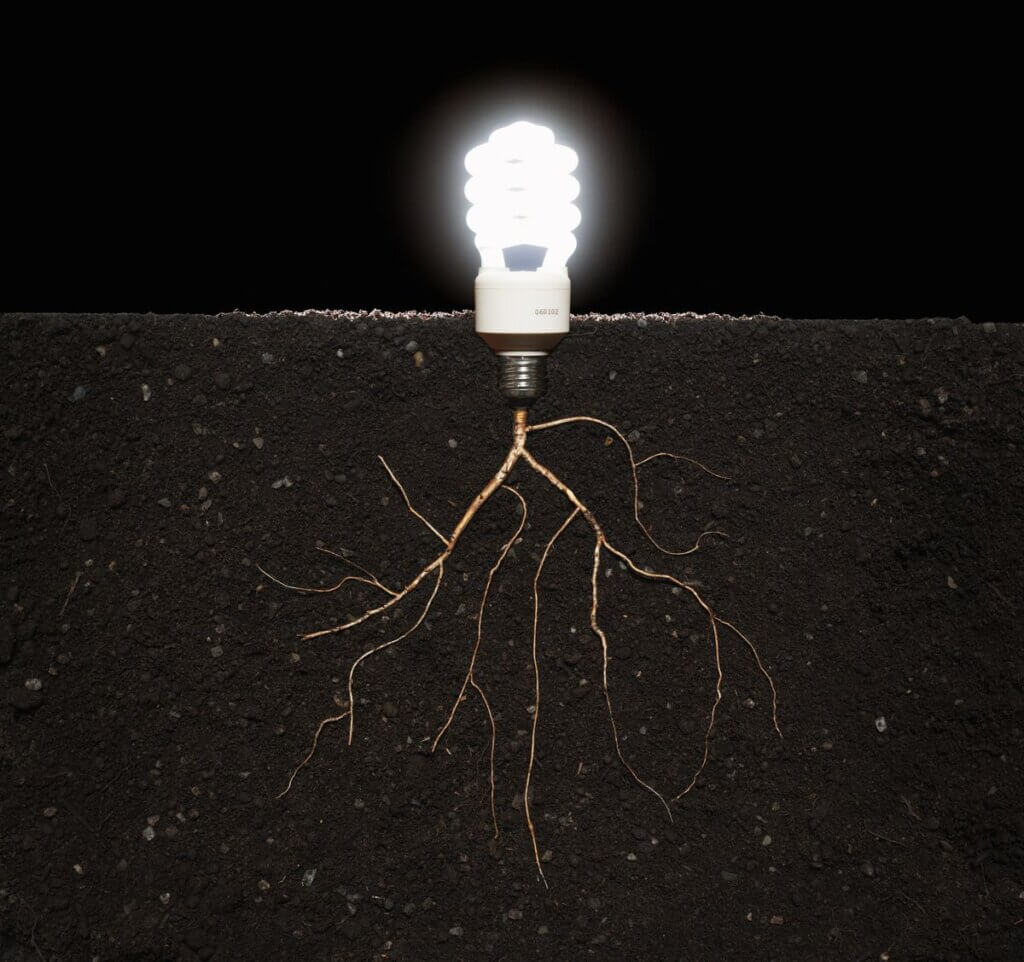 Científicos descubren proteína responsable de mantener red eléctrica microbiana bajo la tierra