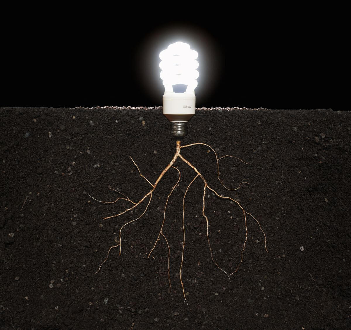 Lee más sobre el artículo Científicos descubren proteína responsable de mantener red eléctrica microbiana bajo la tierra