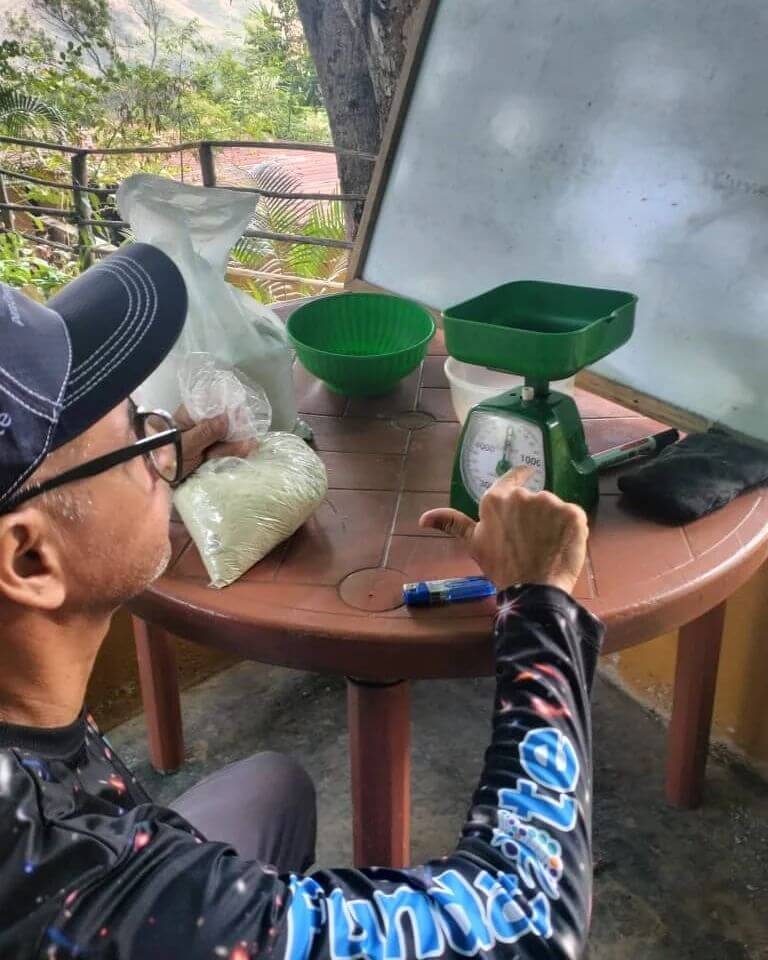 En este momento estás viendo Alianza Científico-Campesina brinda capacitación a productores de papa en Guárico