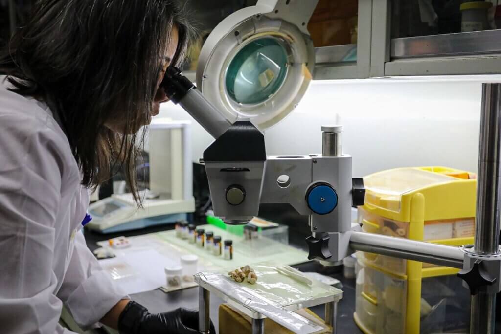 Biotecnología agrícola: herramienta para garantizar la seguridad alimentaria del país