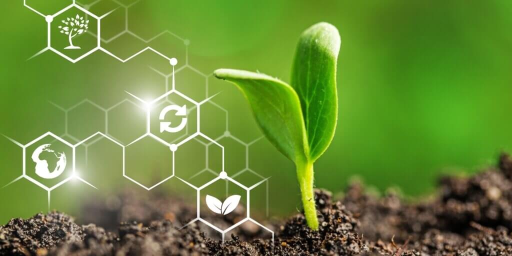 Lee más sobre el artículo Productores aprenden sobre preparación de bioinsumos agrícolas en Falcón