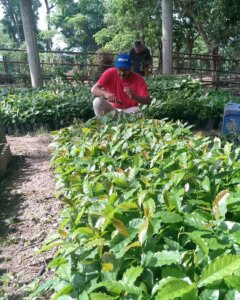 Lee más sobre el artículo Avanza Agenda Programática Anual para impulsar la agricultura sostenible en Yaracuy