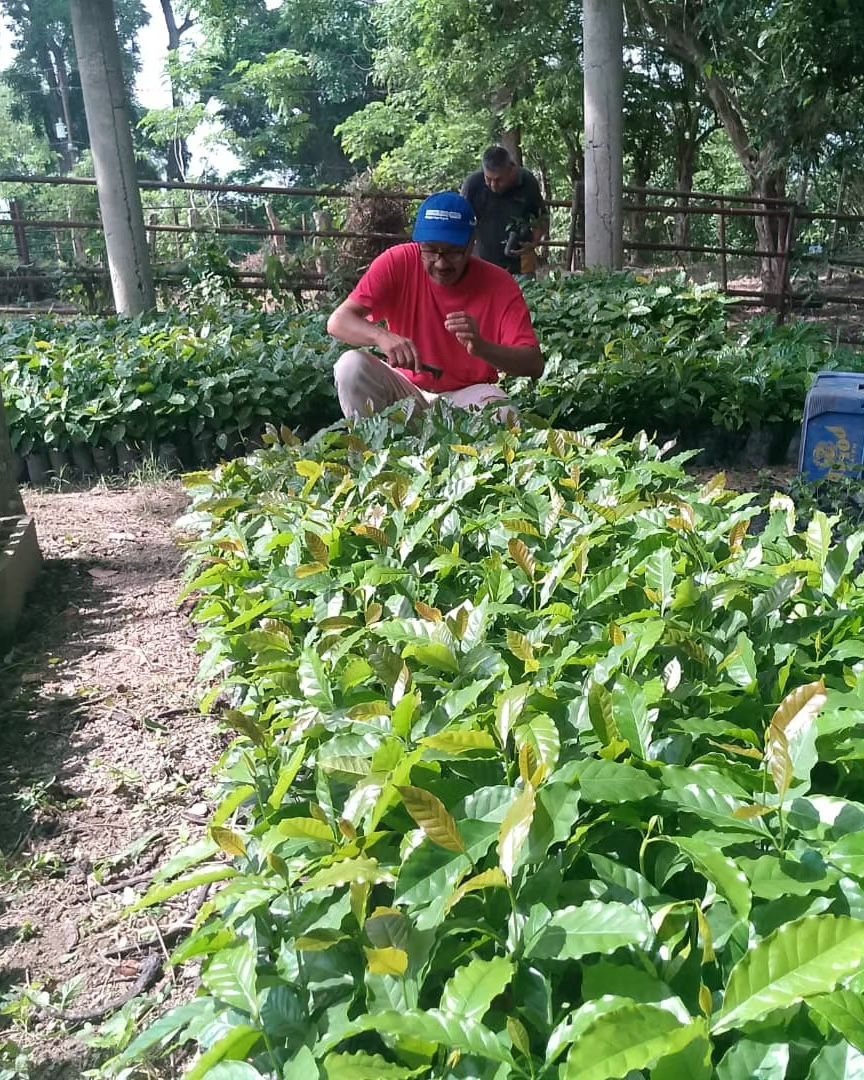 Lee más sobre el artículo Avanza Agenda Programática Anual para impulsar la agricultura sostenible en Yaracuy