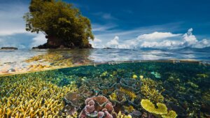 Lee más sobre el artículo Venezuela desarrolla proyectos científicos para la conservación de la Diversidad Biológica Nacional