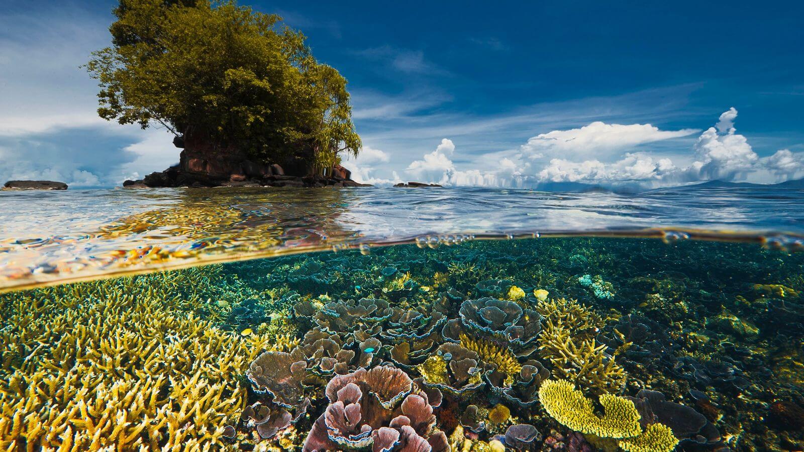 Lee más sobre el artículo Venezuela desarrolla proyectos científicos para la conservación de la Diversidad Biológica Nacional