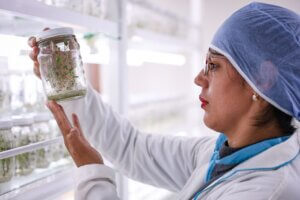 Lee más sobre el artículo Venezuela potencia soberanía alimentaria con innovación biotecnológica a través del Cebisa