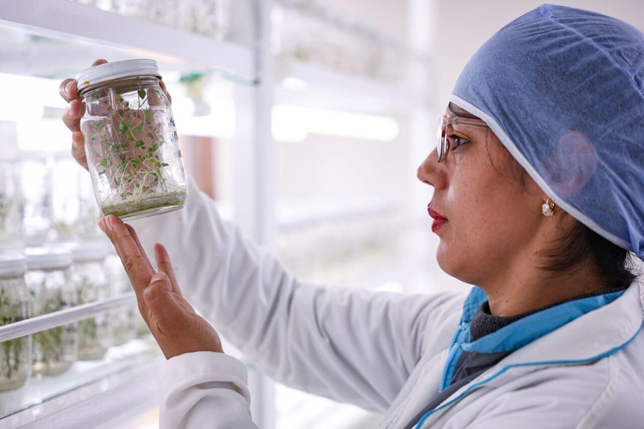 En este momento estás viendo Venezuela potencia soberanía alimentaria con innovación biotecnológica a través del Cebisa
