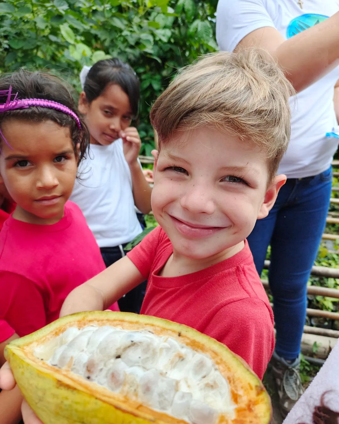 Lee más sobre el artículo Niños y jóvenes de Portuguesa aprenden sobre las propiedades del cacao en la Ruta Científica