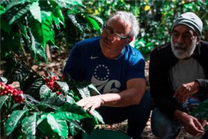 Lee más sobre el artículo IVIC produce variedad de café reconocida entre las mejores de Venezuela