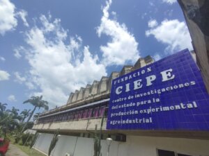 Lee más sobre el artículo Desarrollan proyecto para obtener pectina a partir de la cáscara de la parchita