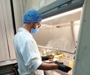 Lee más sobre el artículo Fundación CIEPE desarrolla investigación sobre hongo Paecilomyces variotti como agente promotor de germinación de semillas