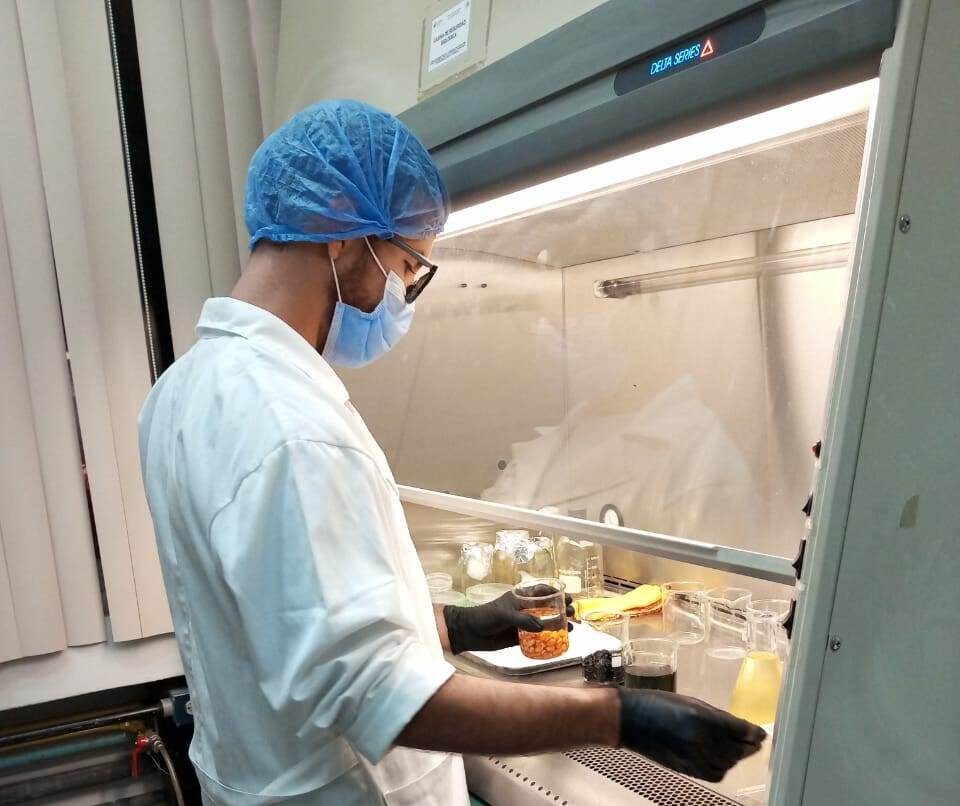 Lee más sobre el artículo Fundación CIEPE desarrolla investigación sobre hongo Paecilomyces variotti como agente promotor de germinación de semillas