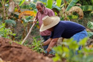 Lee más sobre el artículo Agroecología: Práctica esencial para la Alianza Científico-Campesina
