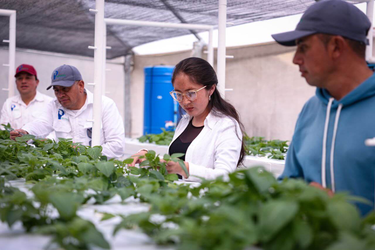 Lee más sobre el artículo Alianza Científico-Campesina contribuye a la recuperación de la producción alimentaria en Venezuela