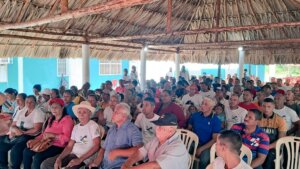 Lee más sobre el artículo Fortalecen estrategias para potenciar producción y rendimiento del cacao nacional