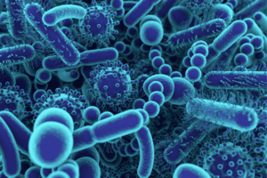 Lee más sobre el artículo El desequilibrio en la microbiota puede alterar la salud mental