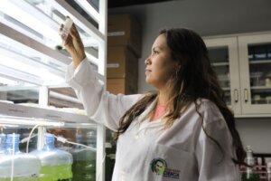 Lee más sobre el artículo Venezuela desarrolla proyecto pionero de biodegradación de compuestos poliaromáticos con microalgas y bacterias