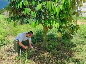 Lee más sobre el artículo China promueve uso de prácticas ecológicas en productos agrícolas para mitigar efectos de la huella de carbono