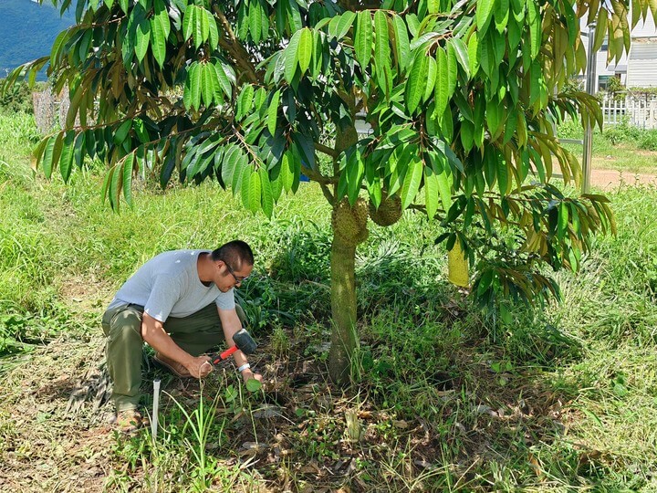 Lee más sobre el artículo China promueve uso de prácticas ecológicas en productos agrícolas para mitigar efectos de la huella de carbono