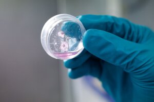 Lee más sobre el artículo IVIC desarrolla gran estudio para generar «miniórganos» para la producción de células de sangre