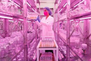 Lee más sobre el artículo Gobierno Bolivariano inaugura Laboratorio de Mejoramiento Genético de Plantas del IVIC