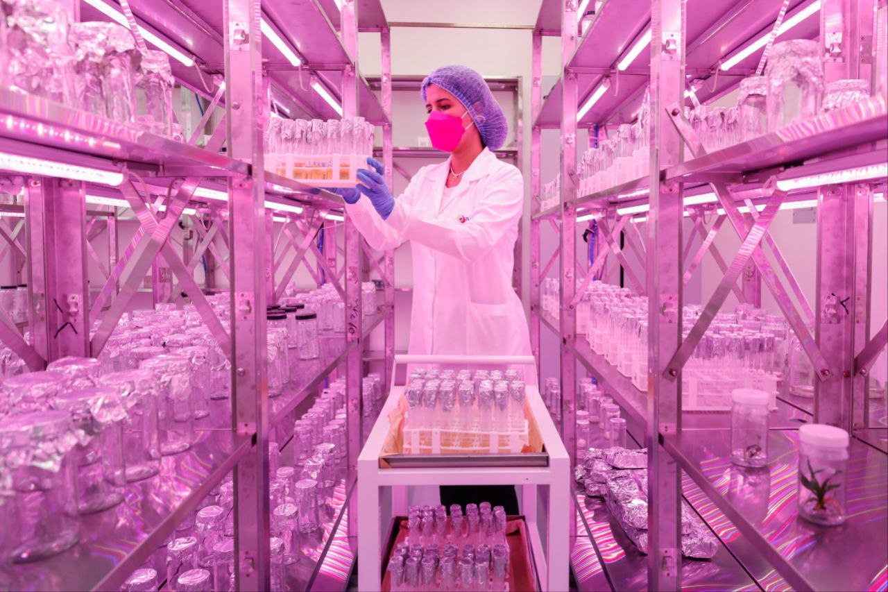 Lee más sobre el artículo Gobierno Bolivariano inaugura Laboratorio de Mejoramiento Genético de Plantas del IVIC
