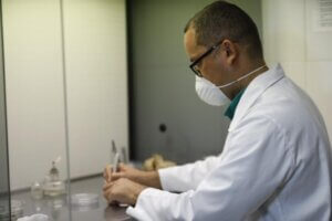Lee más sobre el artículo Evalúan incrementar producción de lechosa a través del sistema in vitro de plantas hermafroditas