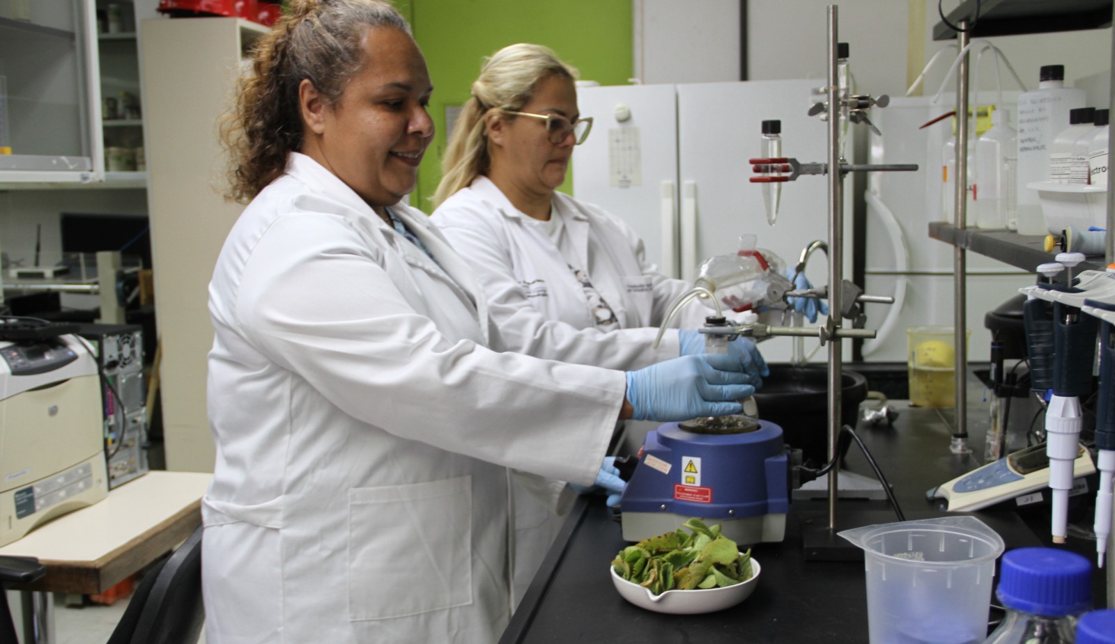 Lee más sobre el artículo Proponen nuevas sustancias antimicrobianas contra infecciones mediante uso de plantas medicinales