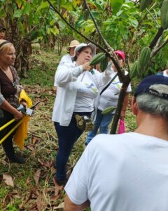 Lee más sobre el artículo Plan Científico y Tecnológico del Cacao avanza en el estado Barinas